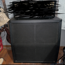 Randall 4x12 guitar cabinet