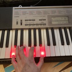 Casio LK-165 61 Key Light-Up Keyboard