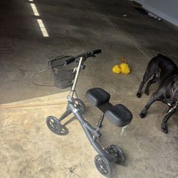 Scooter For Rehab 