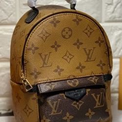 Louis Vuitton backpack