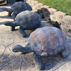 3large.  Concrete Tourtises