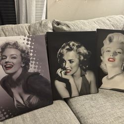 Marilyn Monroe Frames 