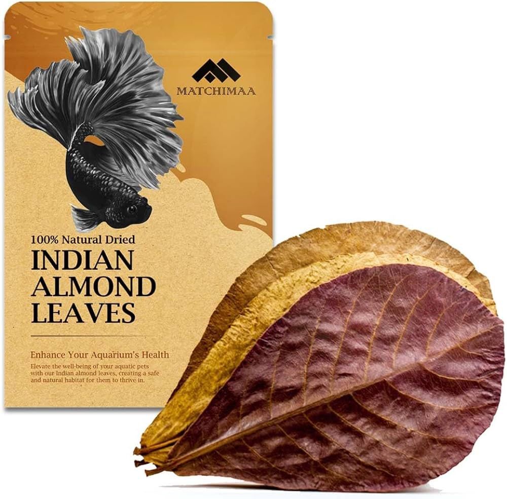 Indian Almond Leaves And Snowflake Shrimp Food