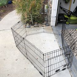 Dog Pen