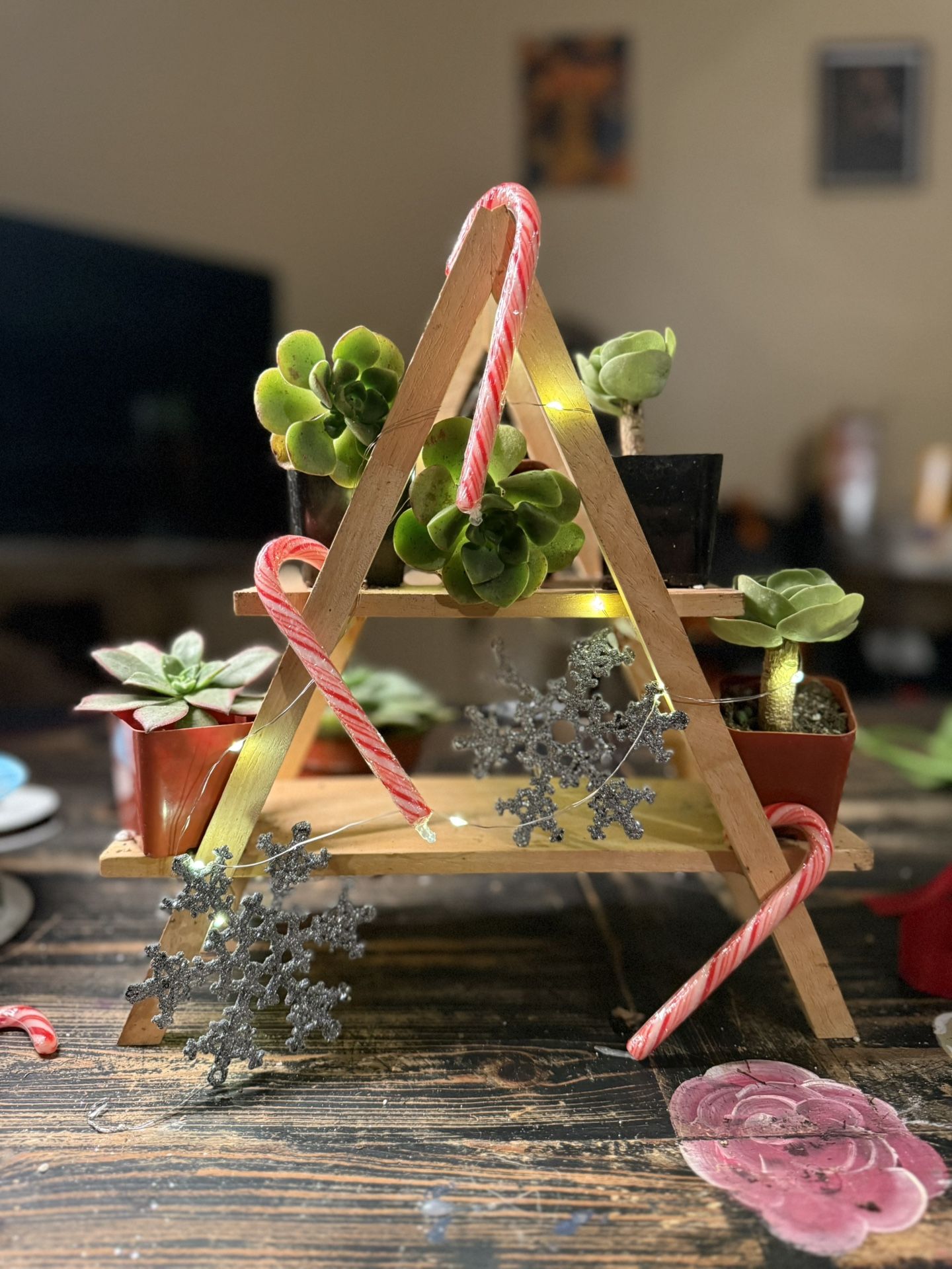 Holiday Tree Shelf - Succulents- Customizable