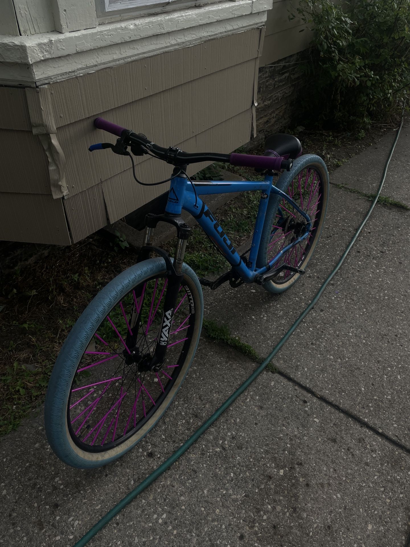 29 in Fuji Wheelie