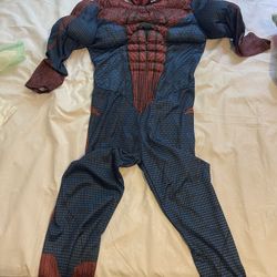 Spider-Man  Costume 