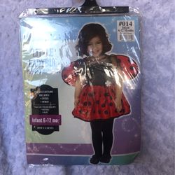 Lady Bug Costume
