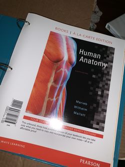 Human Anatomy