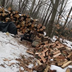 Cordwood. 350$ Per Cord.