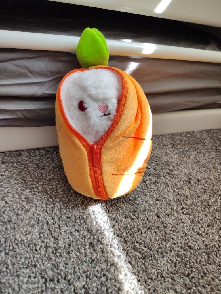 Carrot Bunny