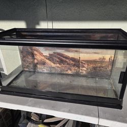 Custom reptile terrarium