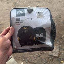 Everlast Boxing Mitts 