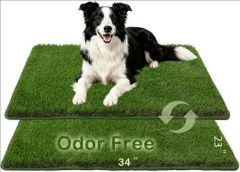 Artificial Grass,Odor Free Dog Grass Mat,Puppy Potty Training Pad 23x34"