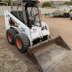 Bobcat 