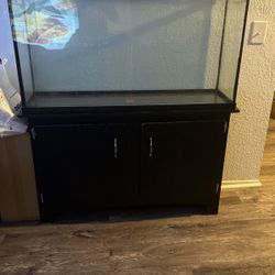 Fish Tank