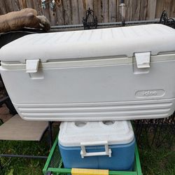 Used 62 Q Igloo Cooler Local Pickup Cash Only