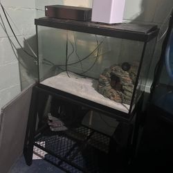 Fish Tanks 