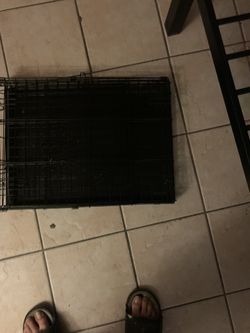 Dog Crate
