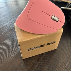 Ergonomic Mouse (Pink)