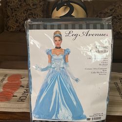 Classic Cinderella Dress Custom