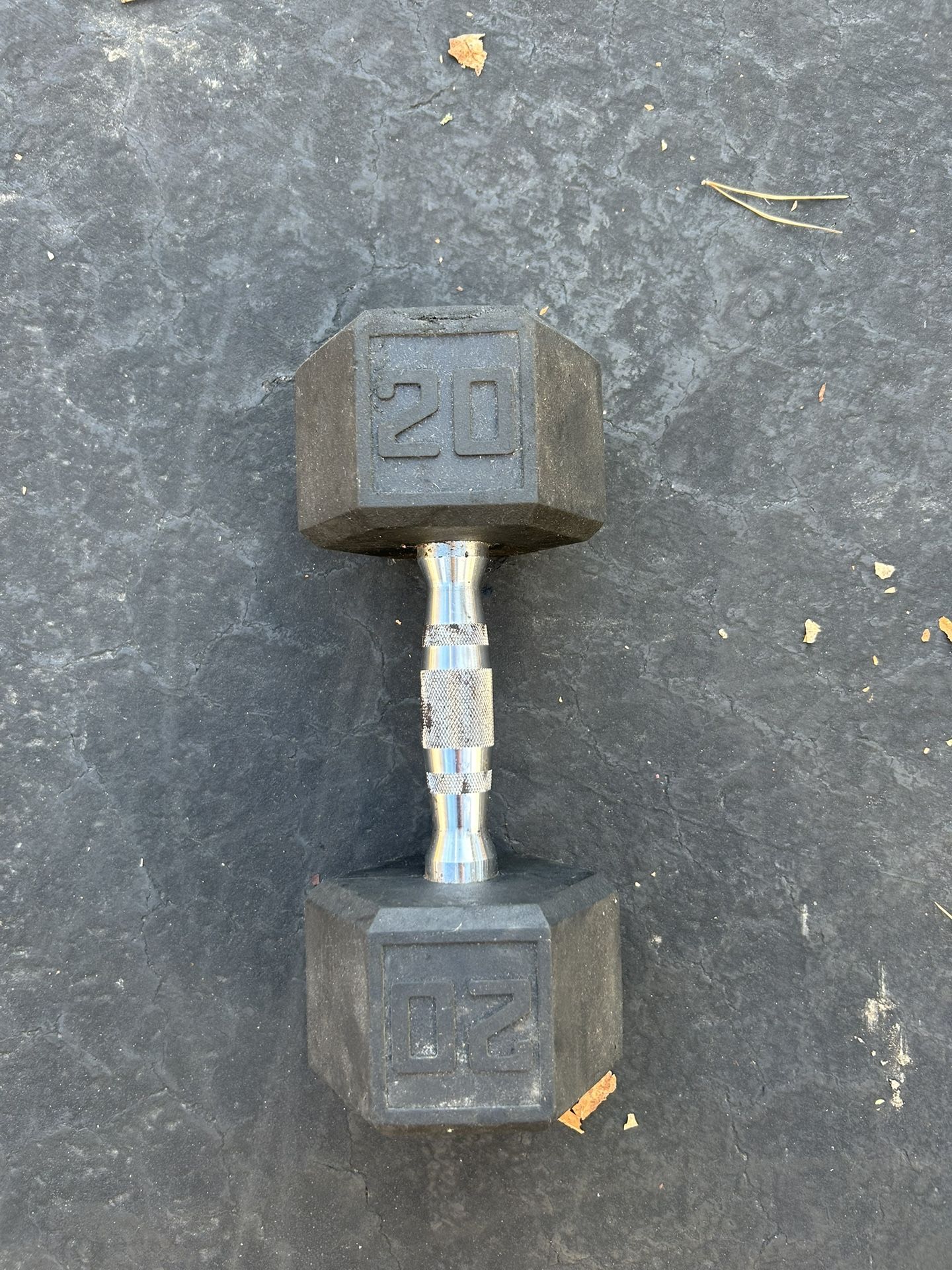 20 Pound Dumbbell