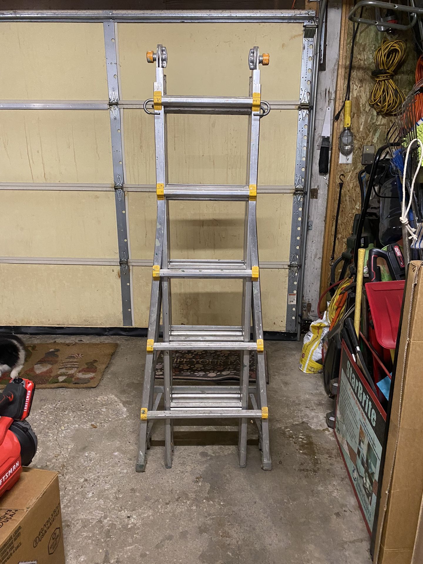 Ladder Multi Adjustable