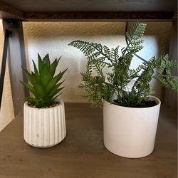 Plant decor