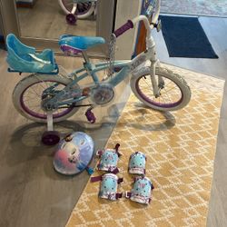 Frozen Bike And Pads Like New 