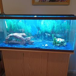 75 Gallon Aquarium 4sale