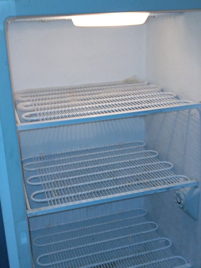 Deep Freezer Has Four Shelves And Five Shelves On The Door Like New Has To Be Gone Today $100 $150 To Deliver It