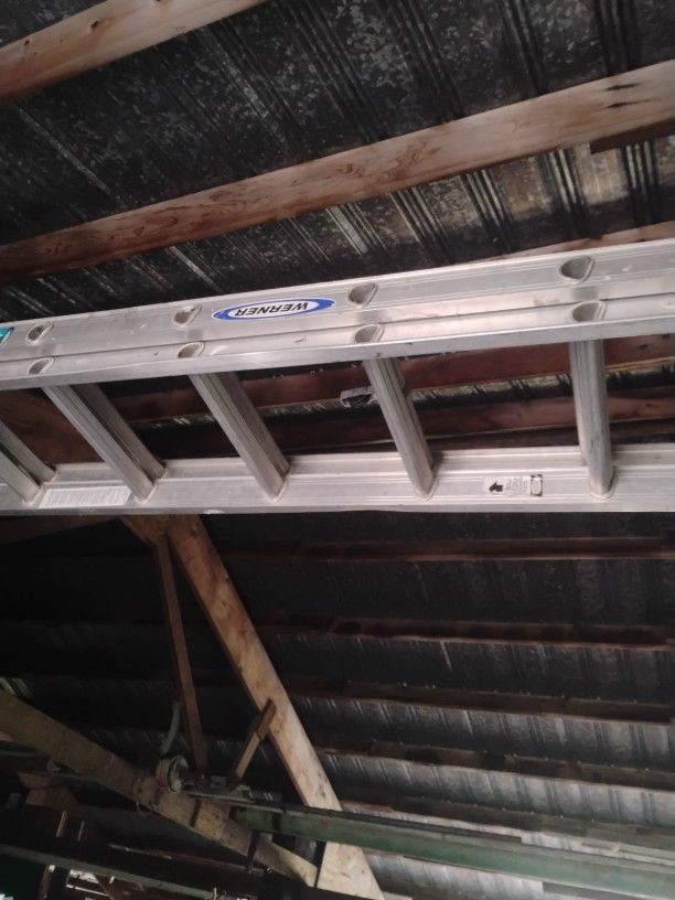 20 Ft Werner Ladder