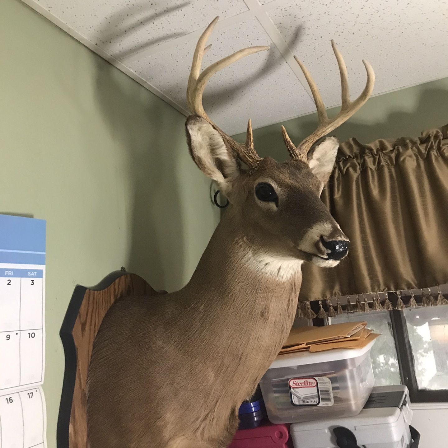 8pont Buck Mount (contact info removed)