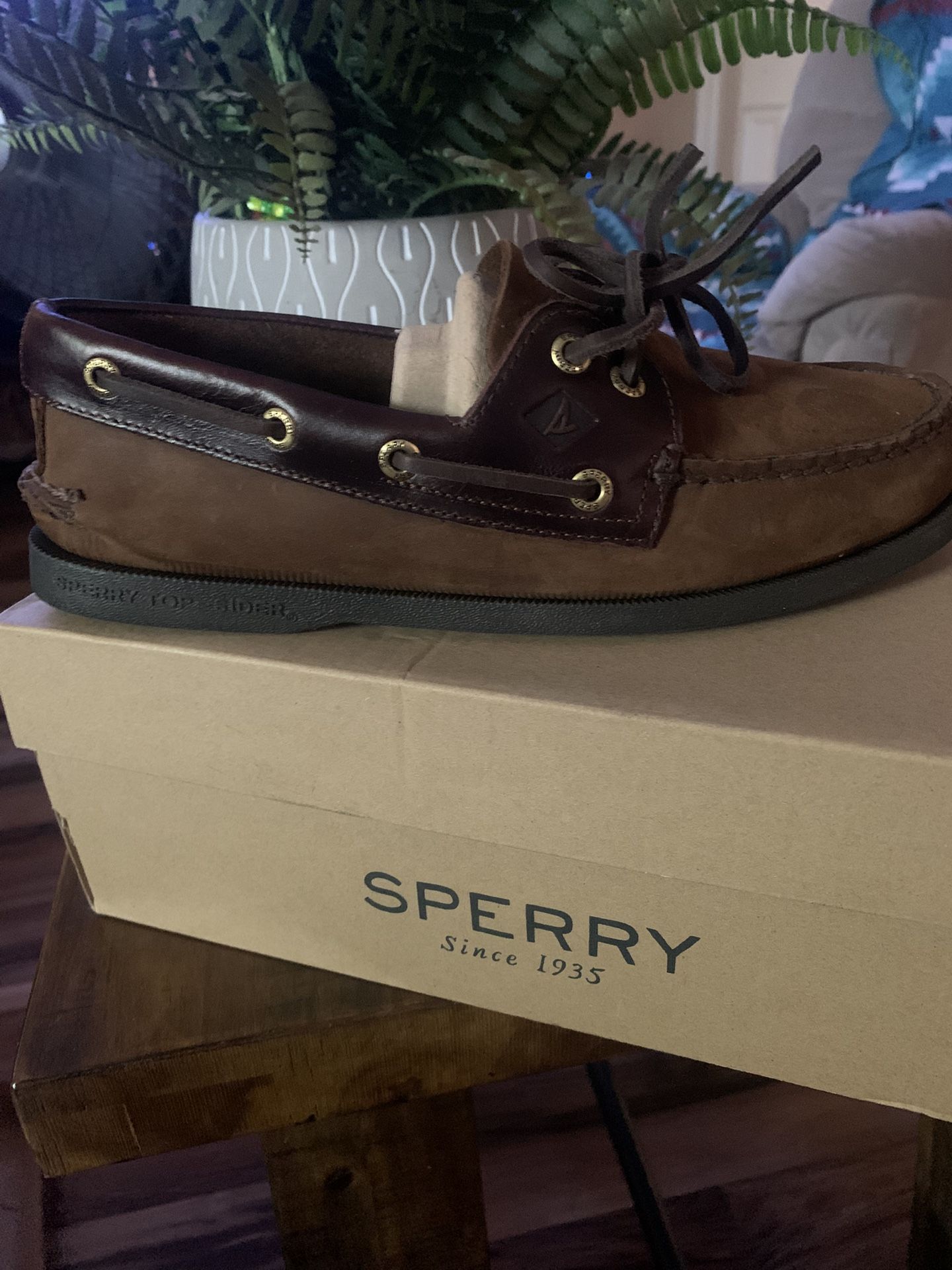 Sperry
