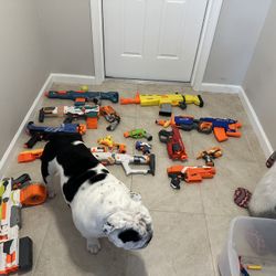 NERF GUNS! 