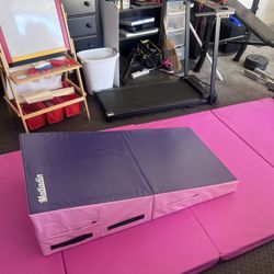 Gymnastics 4 Panel Floor Mat and Folding cheese Wedge