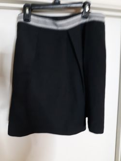 NWT The Limited skirt