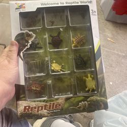 Reptile Turtles 