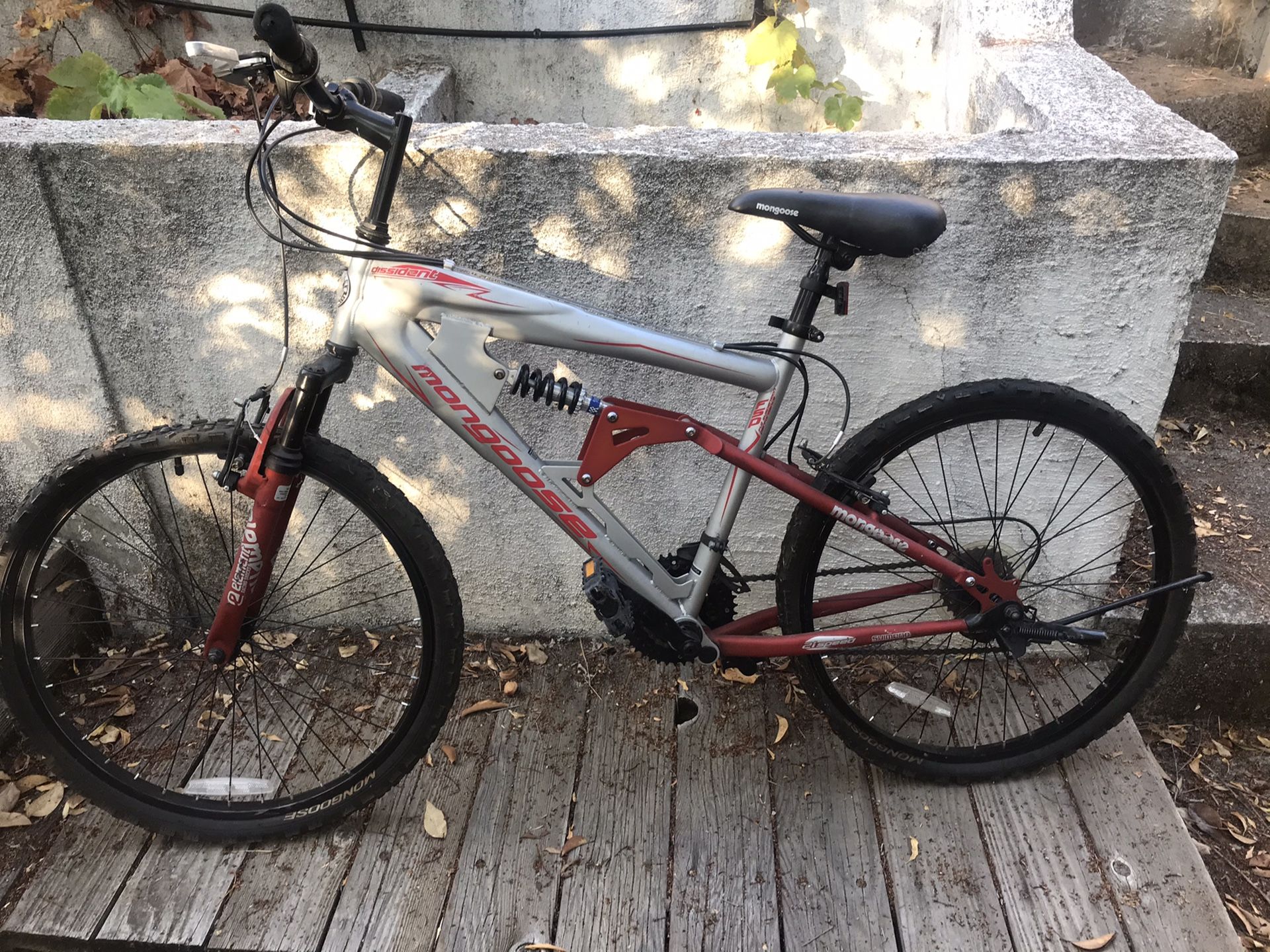 10 Speed Mountain Bike