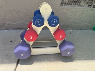 2,3 and 8 lb weights with holder