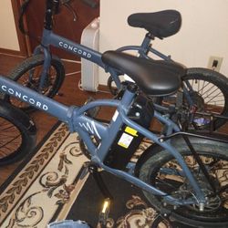 Concord Ebike 