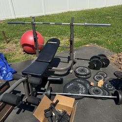 Bench, bar, 455 lbs in plates