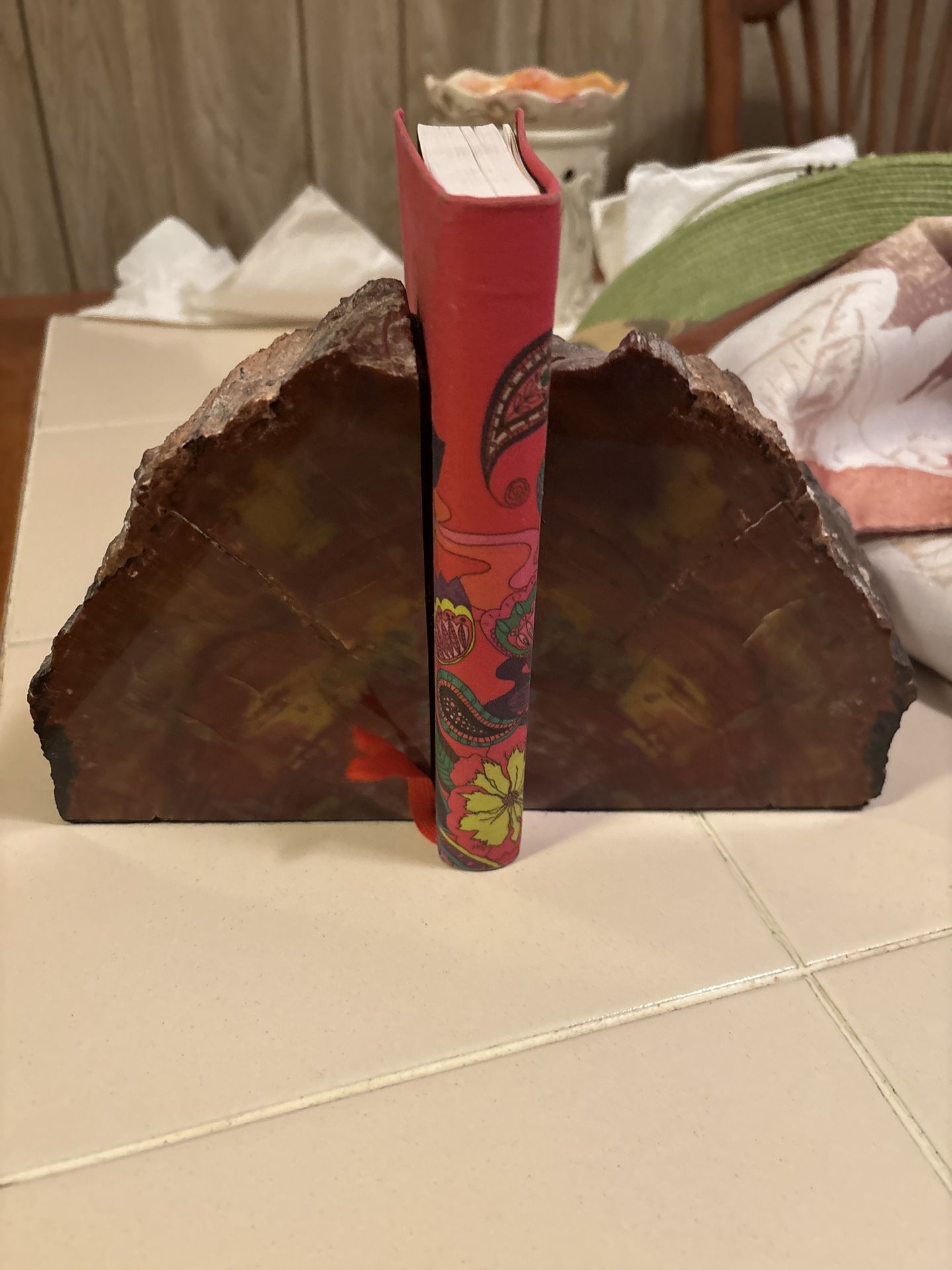 Petrified Wood Book Ends