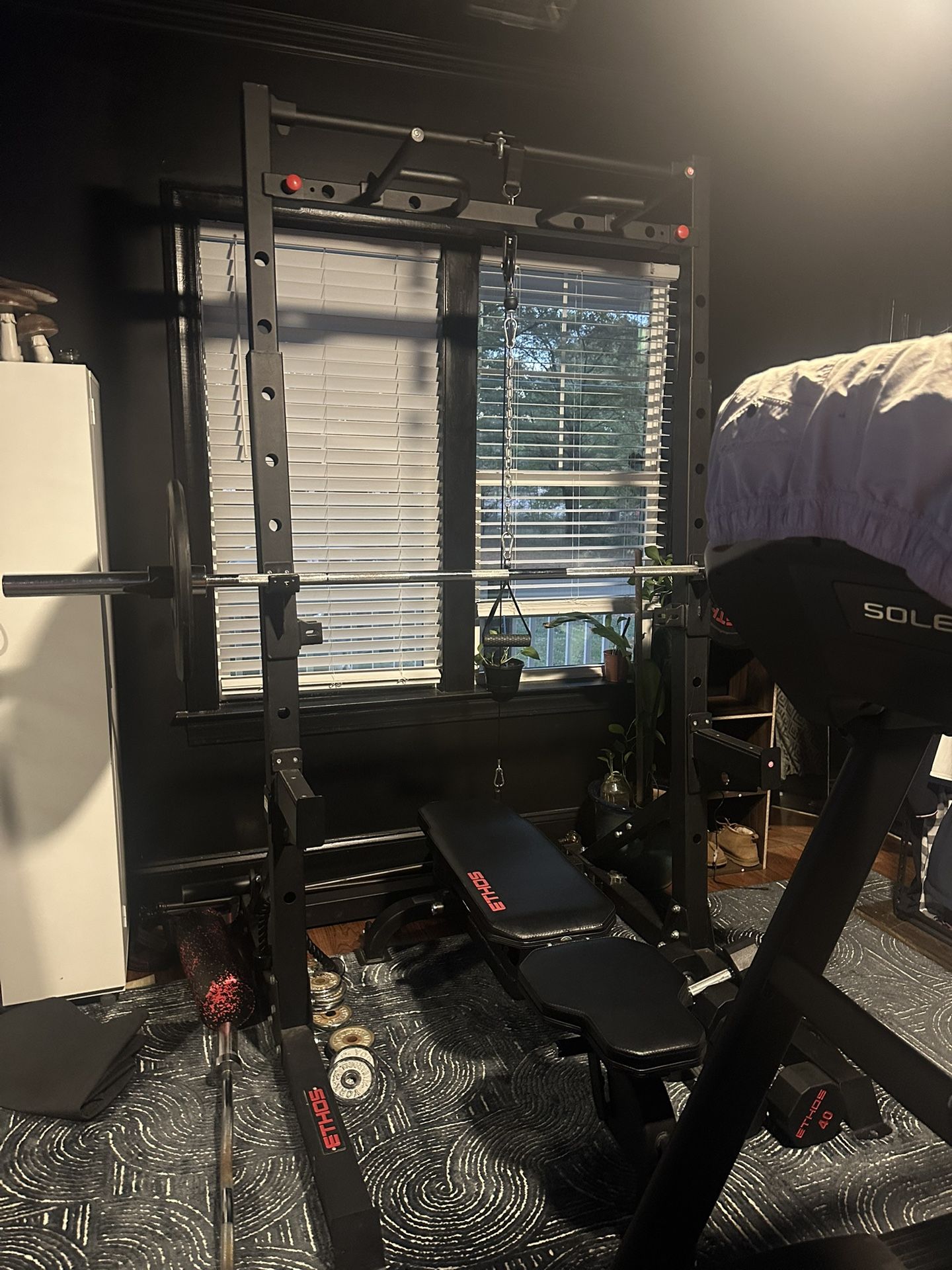 Rack & Treadmill