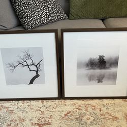 2 IKEA ~ RIBBA 20x20 Picture Frame #14743 in excellent condition 