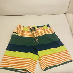 Men’s Patagonia Waver Farer Board Shorts Blue/Green /Orange Striped Size 34