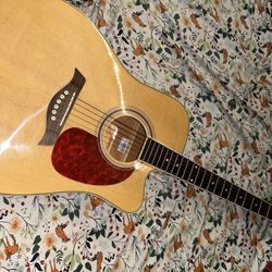Giannini Electric Acoustic Guitar