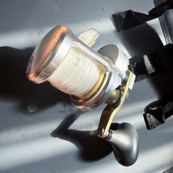 Shimano Talica 10II