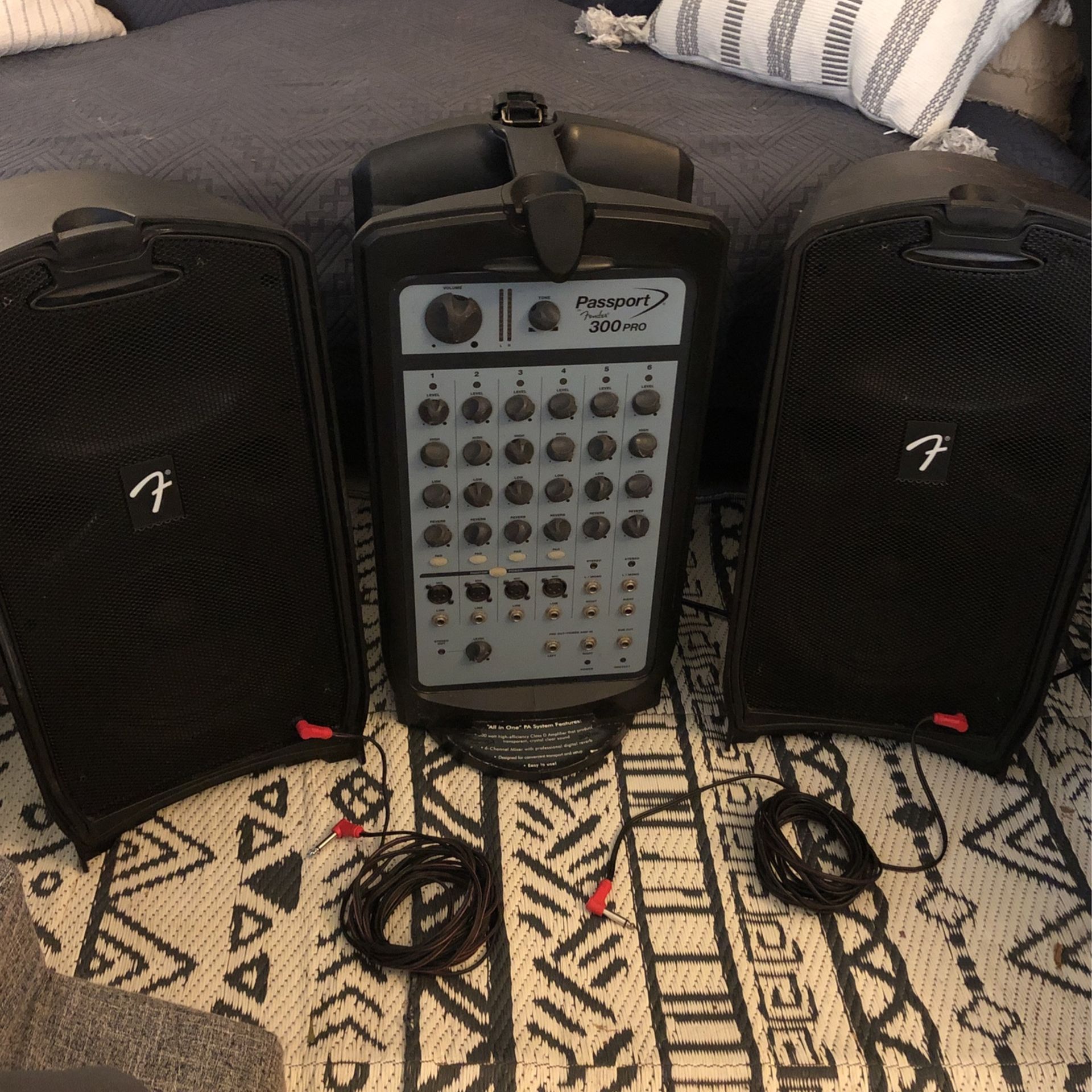 PA System Fender Passport 300 Pro
