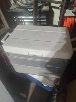 Coleman medium cooler